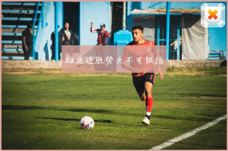 雄鹿连胜势头不可阻挡