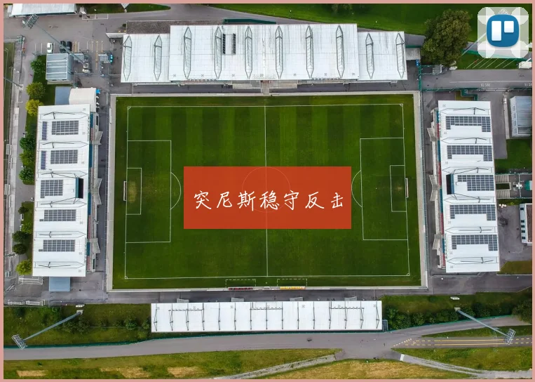 突尼斯稳守反击