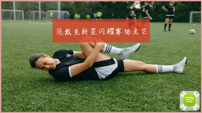 范戴克新星闪耀赛场光芒