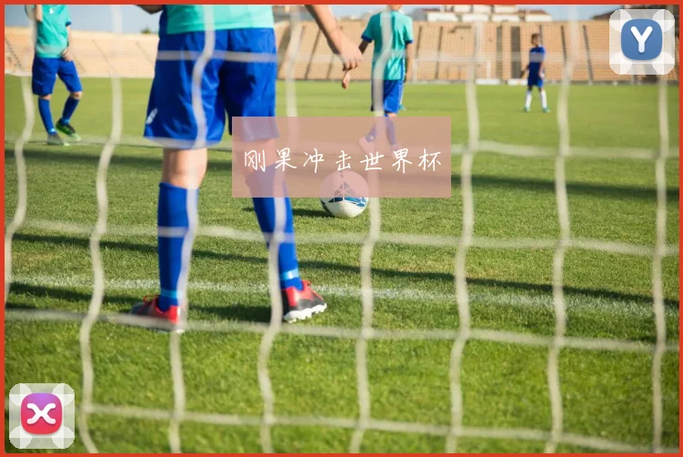 刚果冲击世界杯