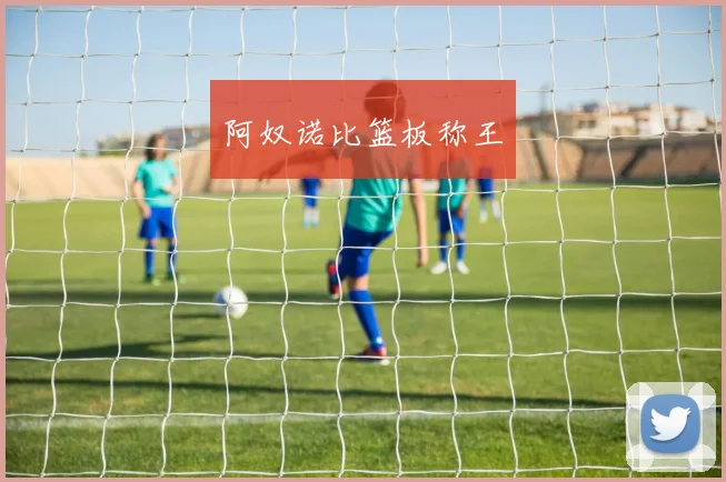 阿奴诺比篮板称王