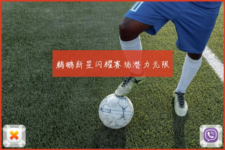 鹈鹕新星闪耀赛场潜力无限