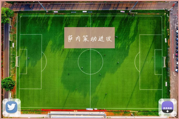 萨内策动进攻
