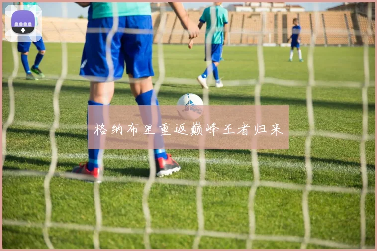格纳布里重返巅峰王者归来