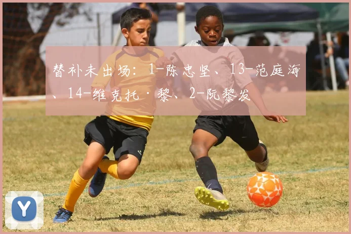 替补未出场：1-陈忠坚、13-范庭海、14-维克托·黎、2-阮黎发