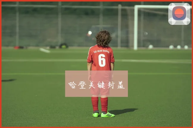 哈登关键封盖