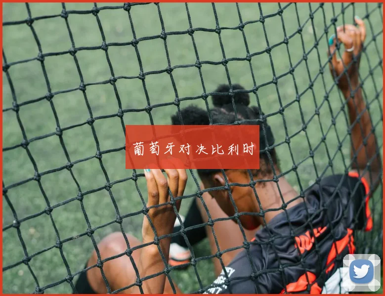 葡萄牙对决比利时