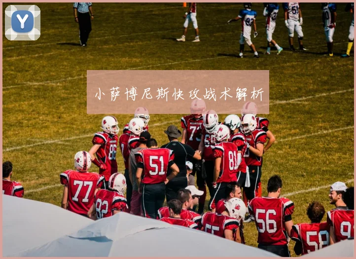 小萨博尼斯快攻战术解析