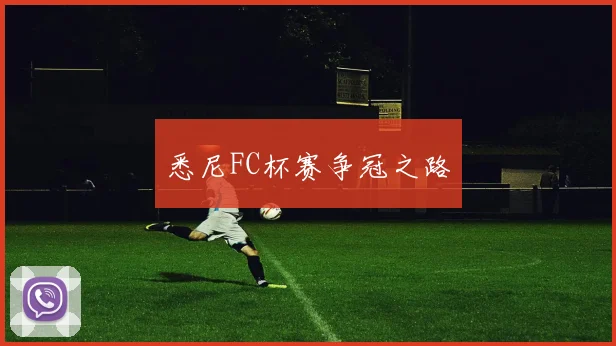 悉尼FC杯赛争冠之路