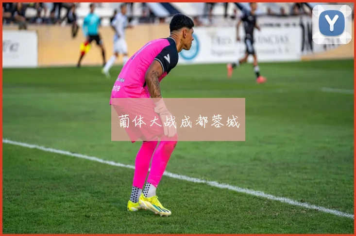 葡体大战成都蓉城