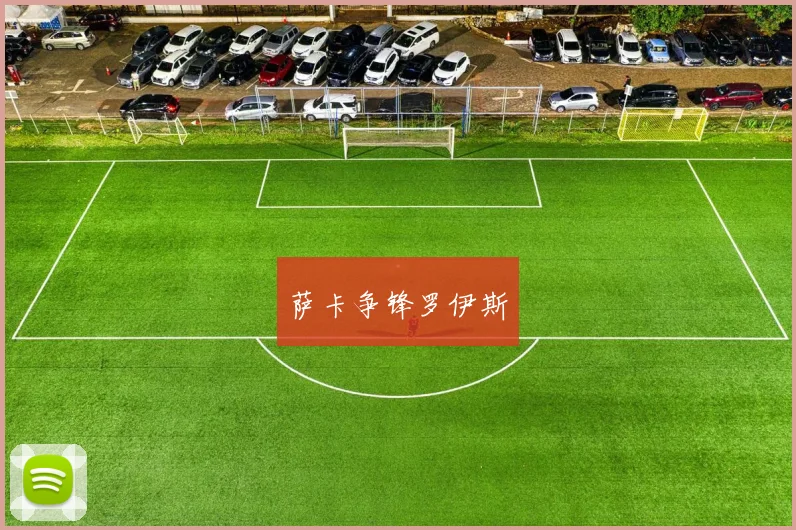 萨卡争锋罗伊斯