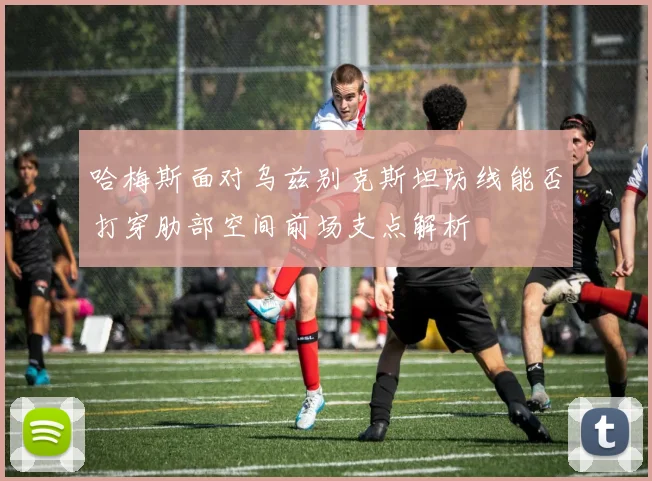 哈梅斯面对乌兹别克斯坦防线能否打穿肋部空间前场支点解析