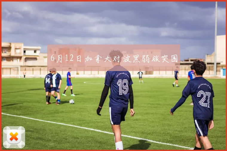 6月12日加拿大对波黑弱旅突围
