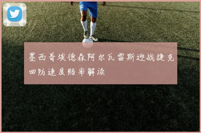 墨西哥埃德森阿尔瓦雷斯迎战捷克回防速度赔率解读