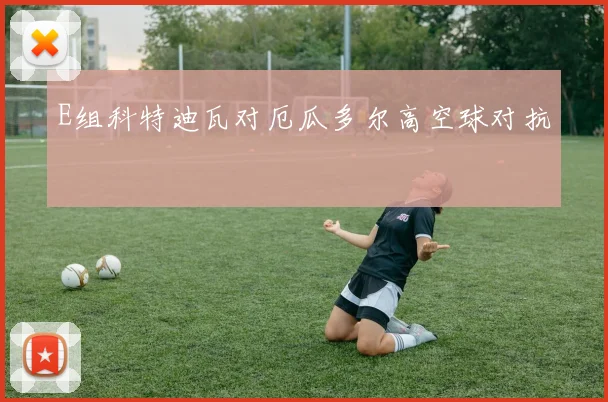 E组科特迪瓦对厄瓜多尔高空球对抗
